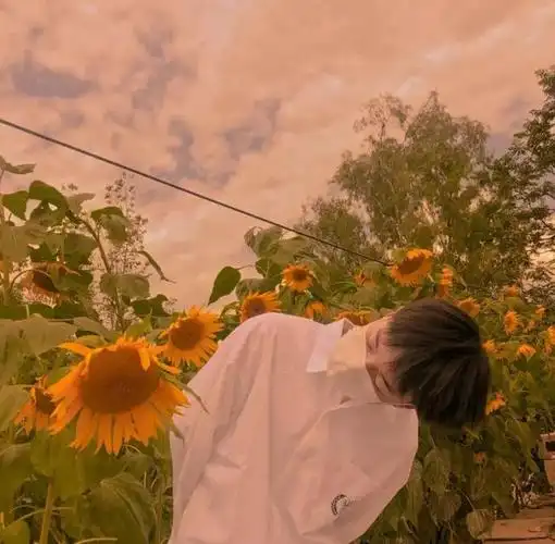 男生头像丨希望你懂得很多之后,依旧热爱生活