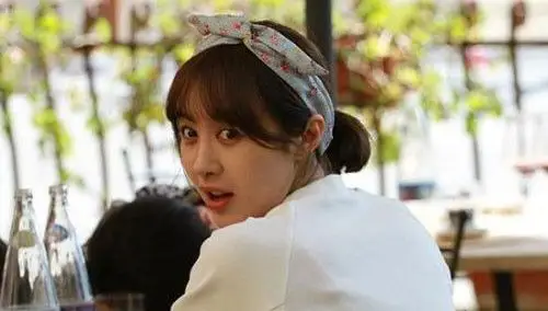 花儿与少年看点李菲儿补办护照