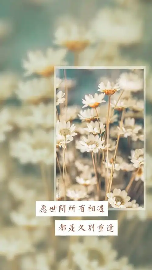 微博壁纸集-文字系列手机壁纸