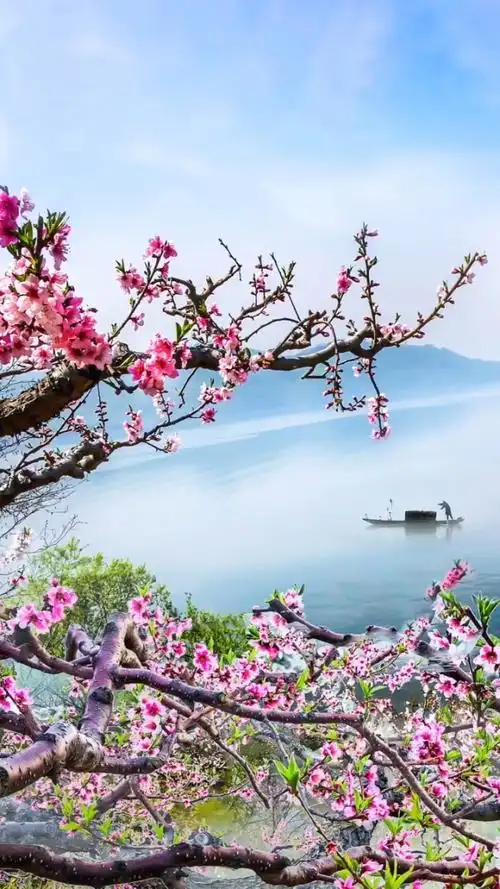 两岸桃花春色里,一叶扁舟画中游;我自逍遥天地间, 浪尽一生无忧愁.