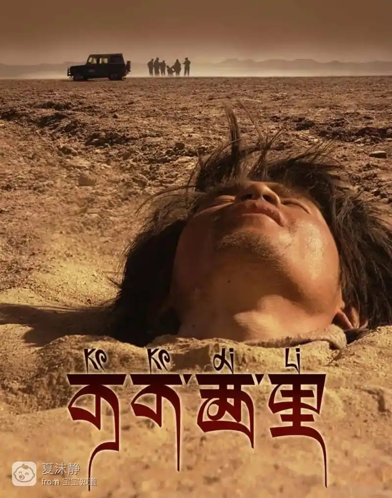 《可可西里》挺震撼的电影!没有买卖就没有伤害!