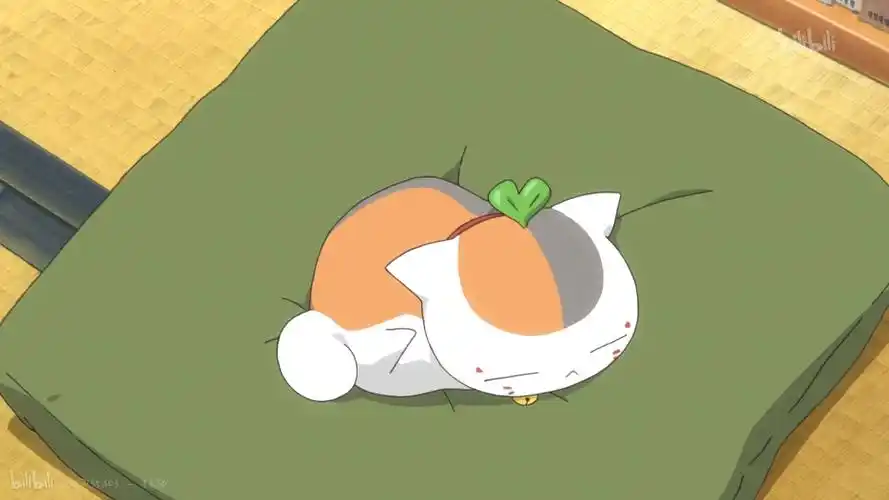 猫咪老师~夏目友人帐