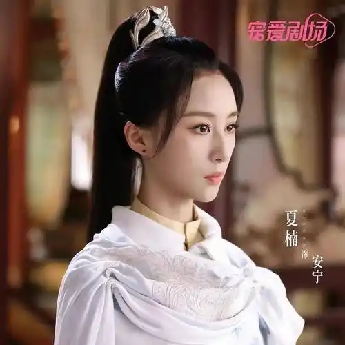 鹤唳华亭》寻秦记》独步天下》等古装剧中,夏楠都有很精彩的表演