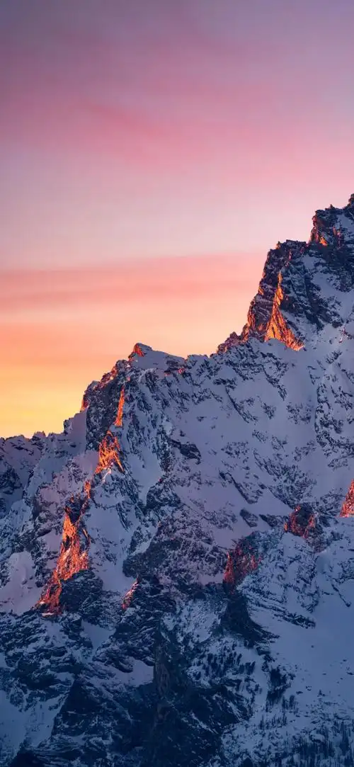 壁纸已送达,记得签收呦 - 华为mate40系列分享交流 花粉俱乐部