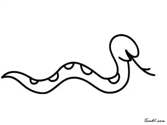 睡觉的蛇简笔画