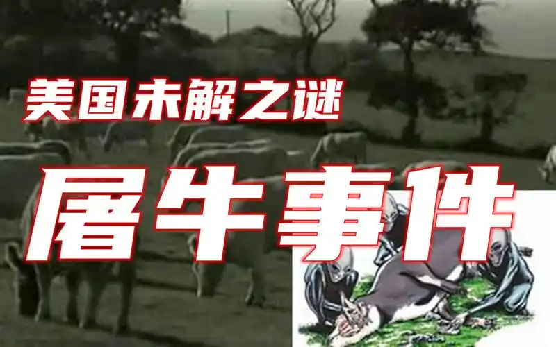 揭秘美国未解之谜,七十年代著名的屠牛事件,是否与外星人有关!