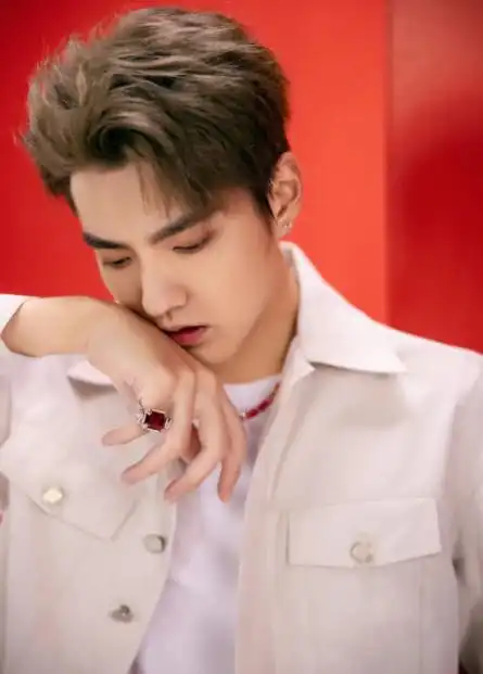 吴亦凡一审被判13年 附加驱逐出境(吴亦凡会被遣送回加拿大吗 )星座1