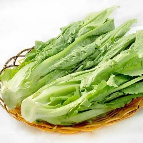 现采现发新鲜油麦菜机蔬菜生鲜叶类农家自种叶菜类