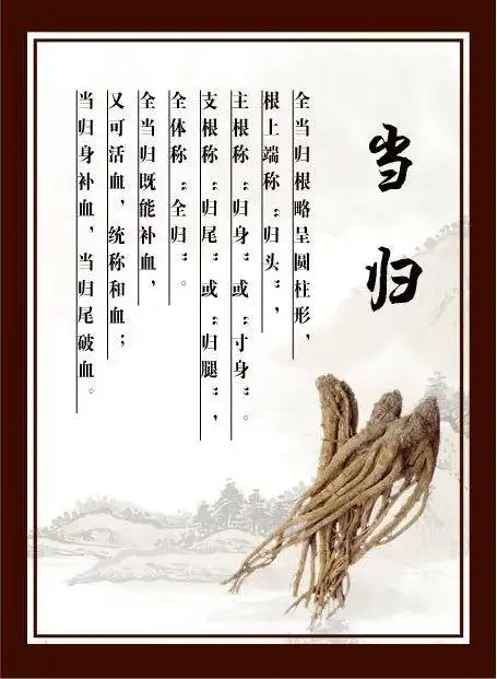 760海报印制展板写真喷绘358药店房中药材知识简介绍挂图当归