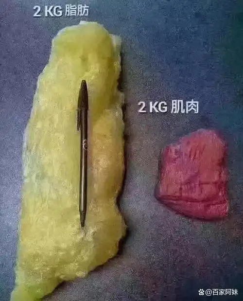 立秋又是减肥的高峰期,立秋后若还不减肥瘦身的话,那你在冬天会胖5-20