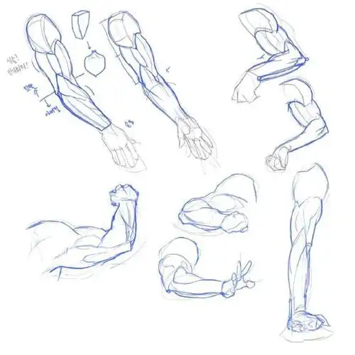 动漫绘画##绘画参考素材##板绘学习