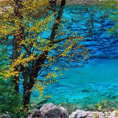 最新旺财最好看的青山绿水风景头像 发财山水风景微信头像2022_风景