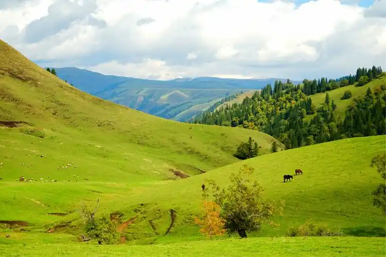 人间天堂草原一一