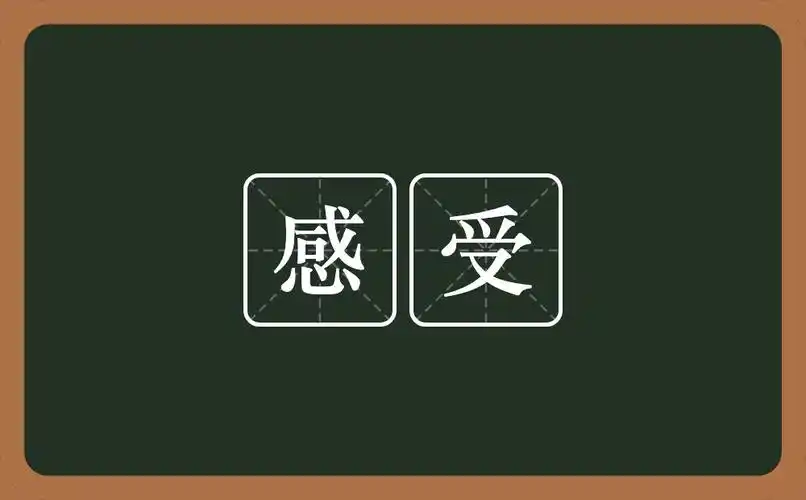 感受是什么意思?