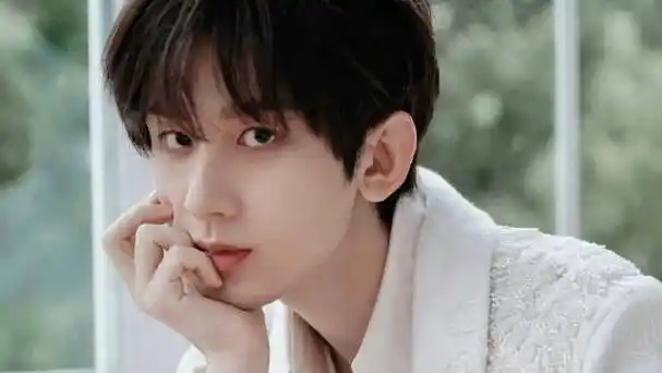 成毅双11晚会上班