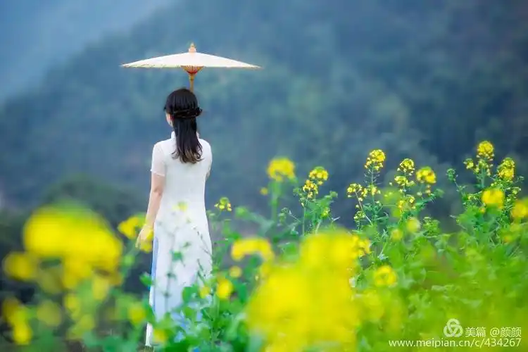 即使一个背影,在花海里,也美到梦里.