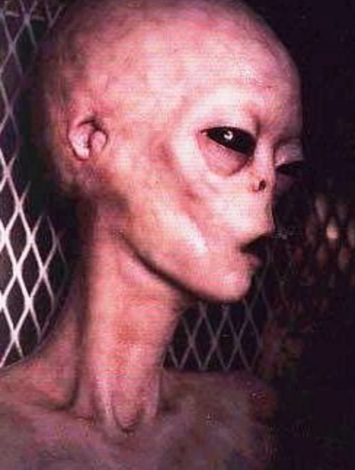 ufo新闻之小灰人背后的企图