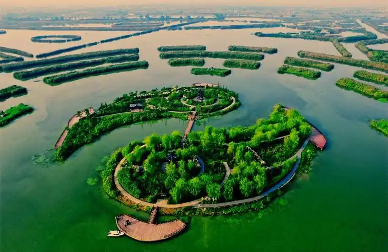 今天是世界湿地日,走进溧阳天目湖源头,长荡湖国家级湿地公园