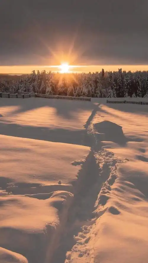 唯美清新冬季雪景风光