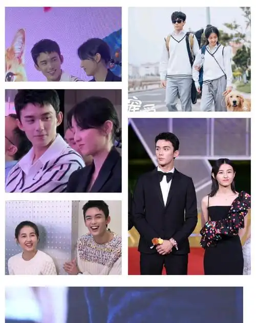 原创张新成张子枫的新剧天才基本法杀青啦cp感太强粉丝期待中