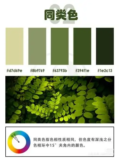 鲜艳的配色方案