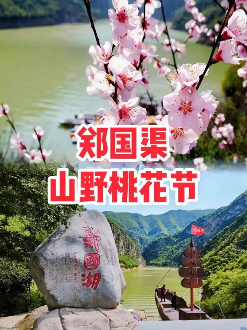 郑国渠旅游风景区第五届山野桃花节来啦