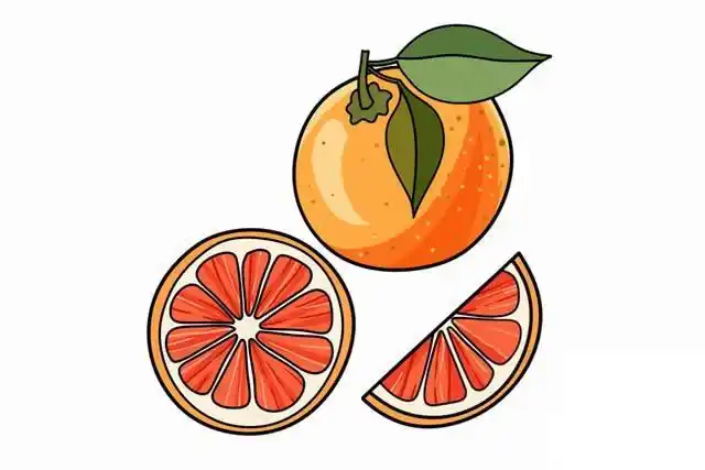 水果柚子简笔画 简笔画图片大全-普车都