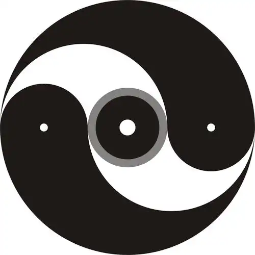 太极图的形成注定太极拳的产生