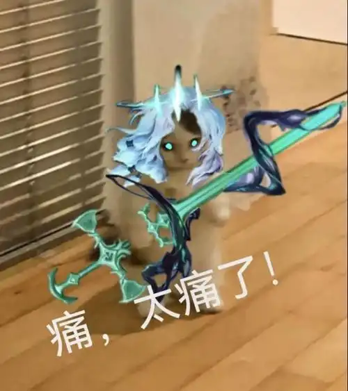 英雄联盟猫猫表情包第四期