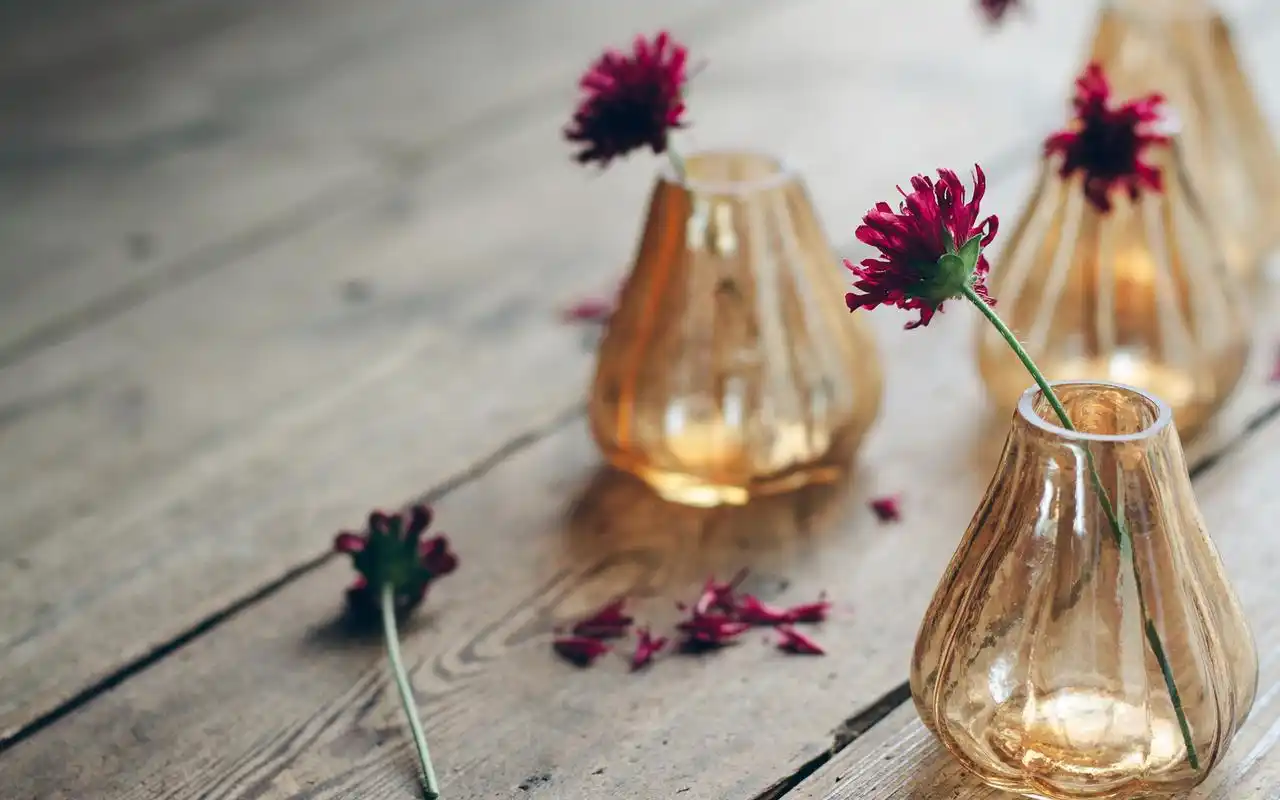 唯美静物花瓶高清桌面壁纸