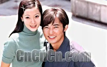 电视连续剧 内容主要演员:  安在旭金喜善郑俊浩李惠英李太兰 明星