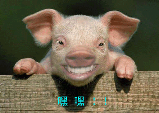 曾小贤gif嘿嘿gif狭义相对性gif参考系gif速度一样gif斗图gif搞笑gif