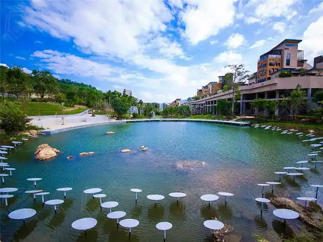 万科森林度假公园迎春大促总价99万/套起