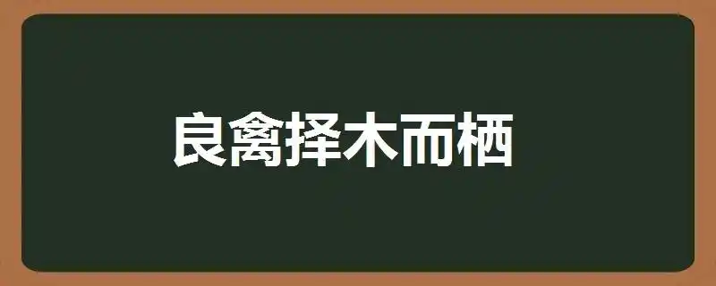 良禽择木而栖的下一句