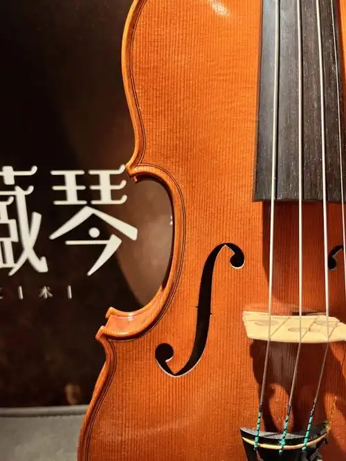 小提琴关于价位的问题,这也是很多家长关心的问题,毕竟一把琴的价格