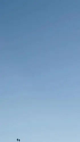 壁纸:一波清新的聊天背景图!