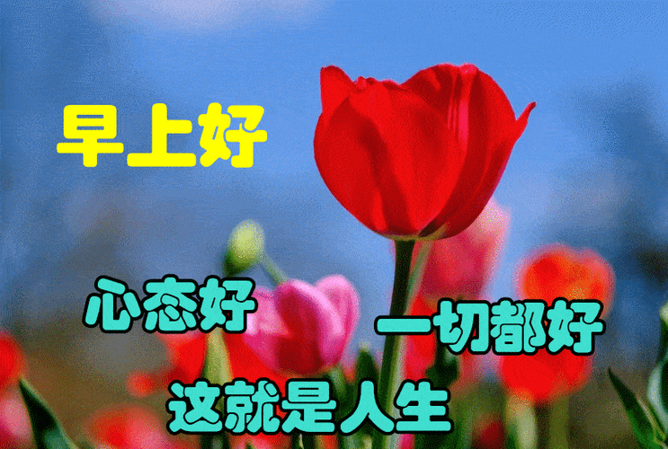 朋友圈冬天漂亮早上好祝福语图片带字温馨精选最美早安早上好图片带