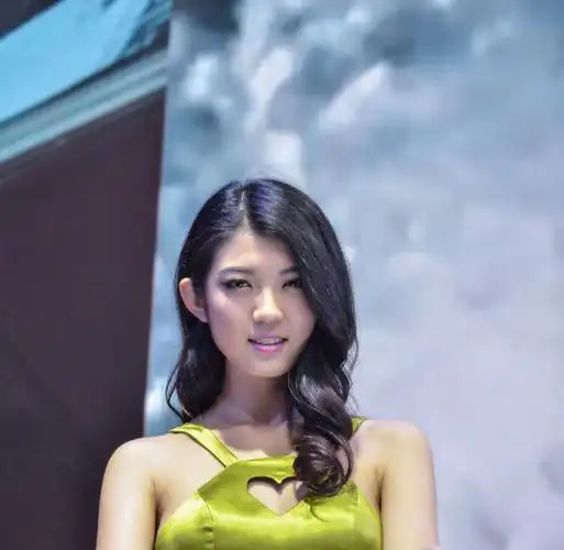 2014年北京国际车展美女车模