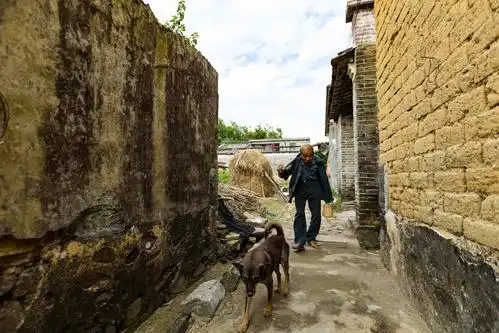 老麦平凡生活中的两小时
