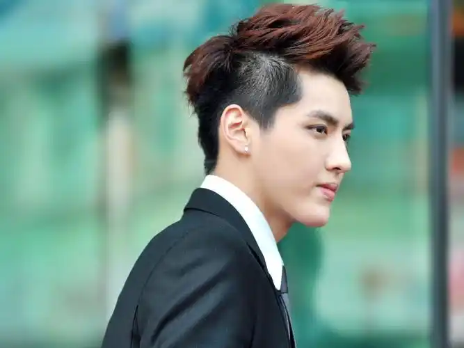 避税并非明星争相加入外国国籍缘由网友真实原因也不可原谅