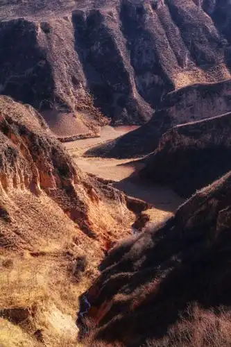 黄土高原 黄土情