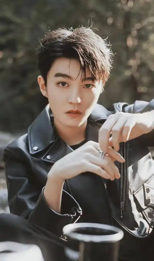 王俊凯介绍百科_中国_树读_组合