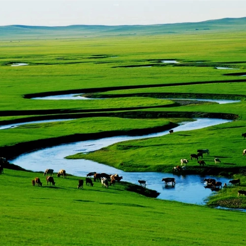 草原是我永远的故乡 (李阿茹汉)_包兴安_高音质在线试听_草原是我永远