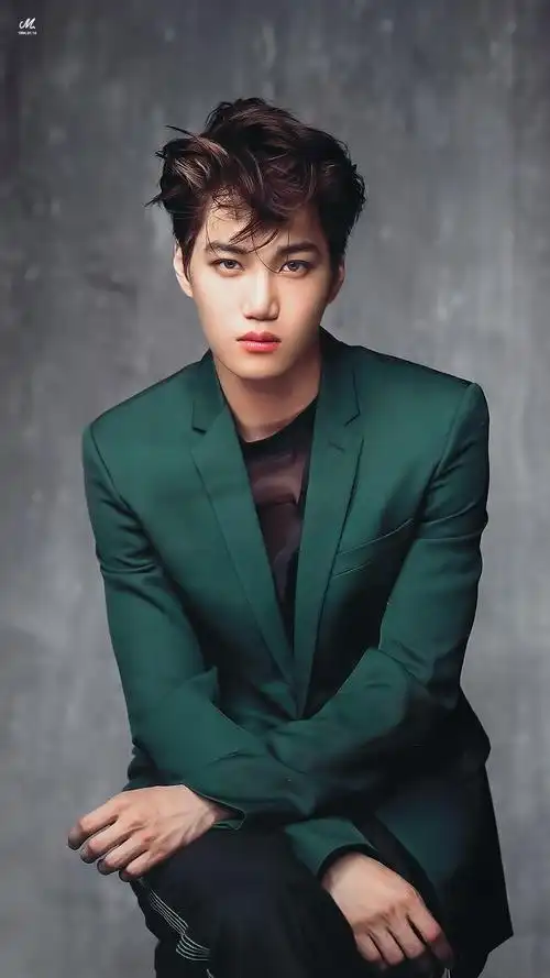 exo 金钟仁 kai