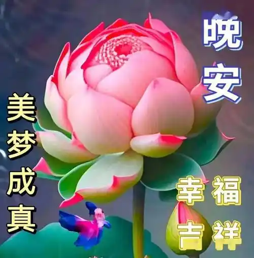 全新中老年早上好表情包图片大全,日日好心情,事事都如意!