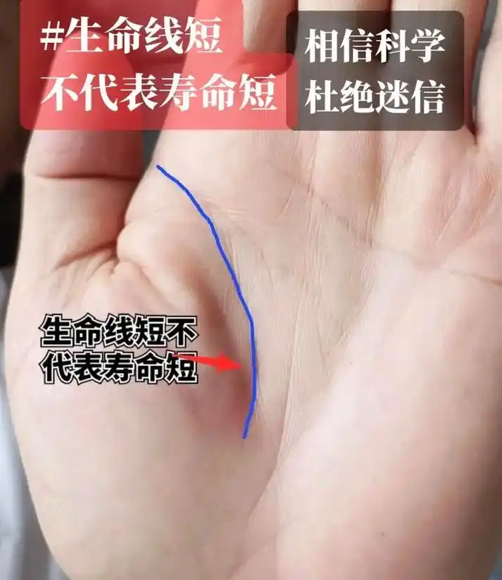 掌纹的奥秘.仅供参考05 - 抖音