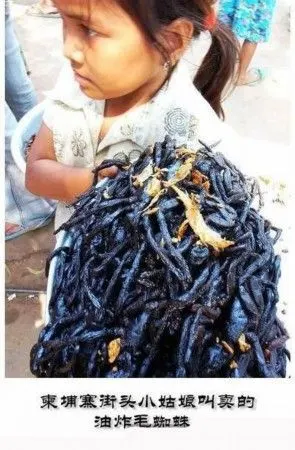 世界各国最恶心最残忍吃法-新闻中心-南海网