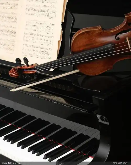 小提琴 钢琴图片