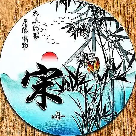 专属姓氏头像 姓宋的朋友家注意啦.新版头像大全,都在这啦! - 抖音