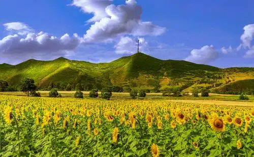 天下最美 - 美篇